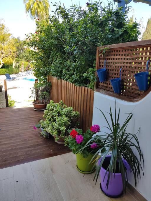 Rachel Suite By The Pool Paphos Exterior foto