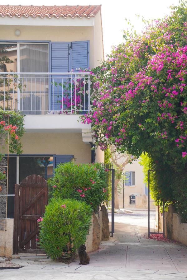 Rachel Suite By The Pool Paphos Exterior foto